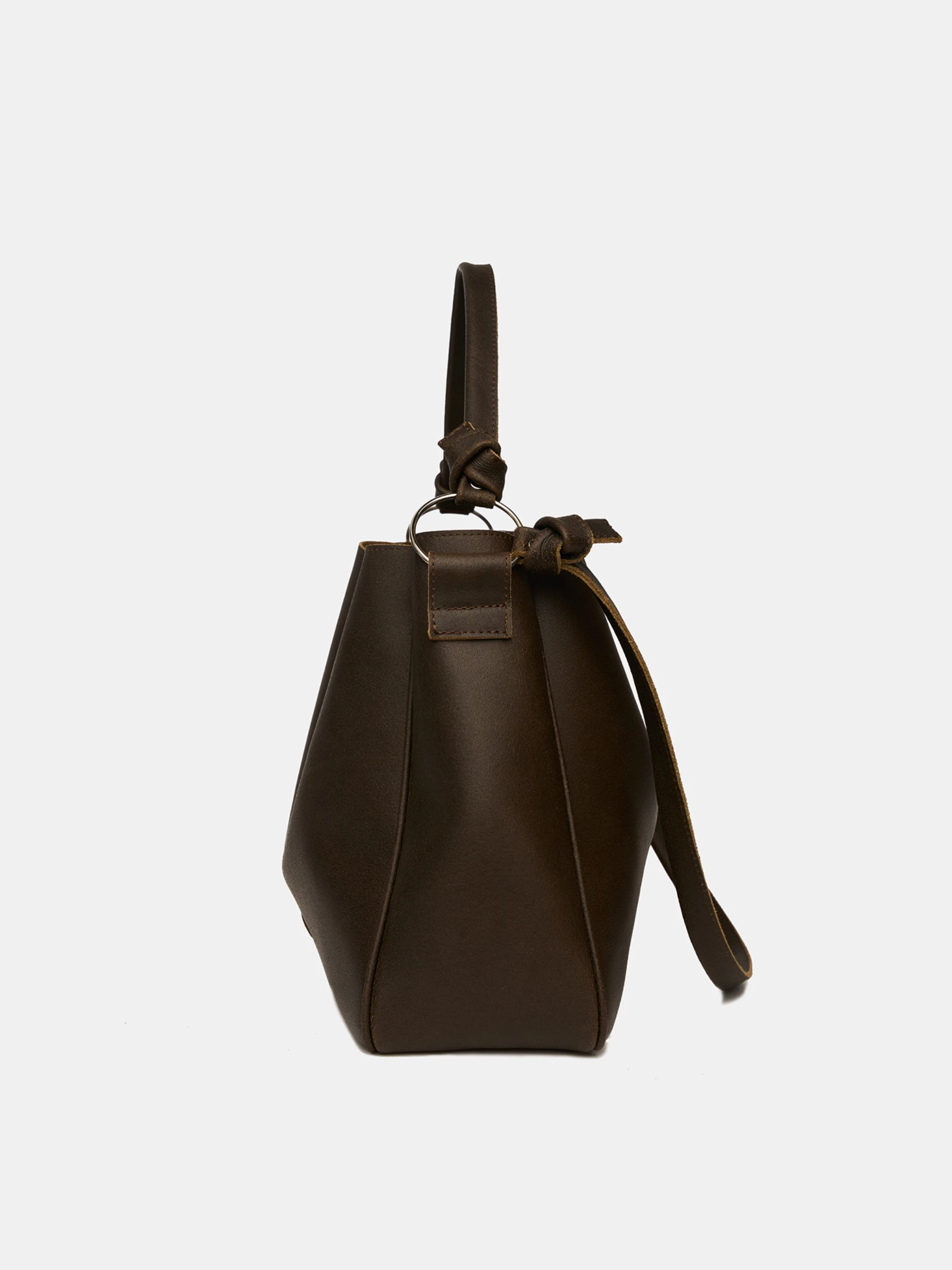 Ps 06 briskbrown side2